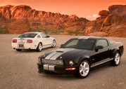 Shelby Cobra GT500 Show Car